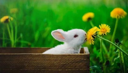 爆料吃瓜这条线背后不止一层，再看一遍还是细思极恐