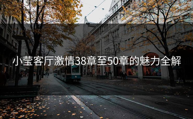 小莹客厅激情38章至50章的魅力全解