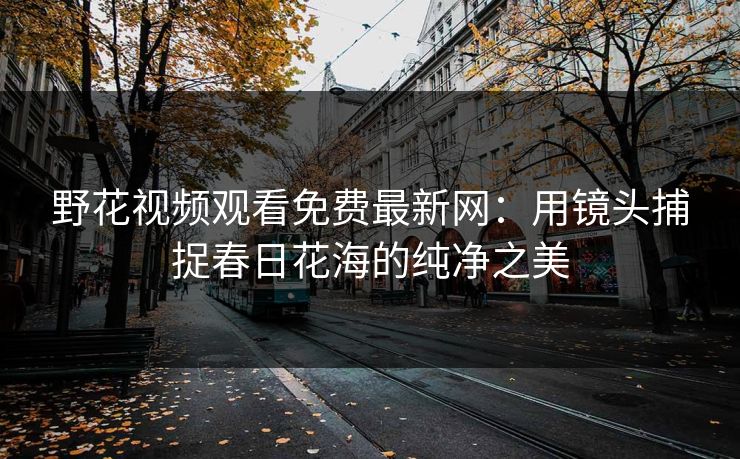 野花视频观看免费最新网：用镜头捕捉春日花海的纯净之美