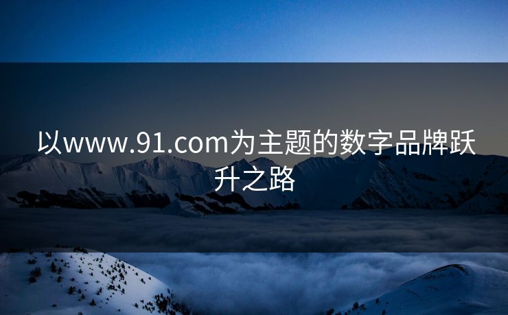以www.91.com为主题的数字品牌跃升之路