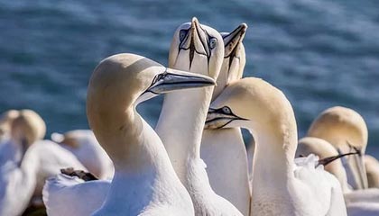 最难受的不是结果，而是——一条匿名投稿一出现，同事A就沉默了